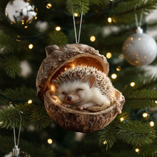 Afbeelding in Gallery-weergave laden, Acorn Dreams – Slapende Bosvriendjes – Handgemaakt om op te hangen
